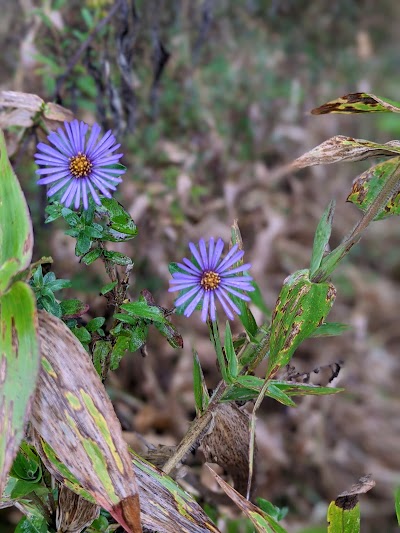 Long Branch Farm & Trails