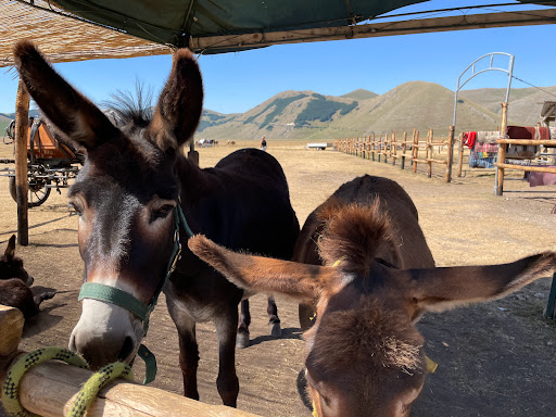 Sibillini Ranch - Visual