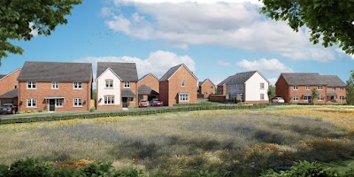 Montgomery Place - Tilia Homes