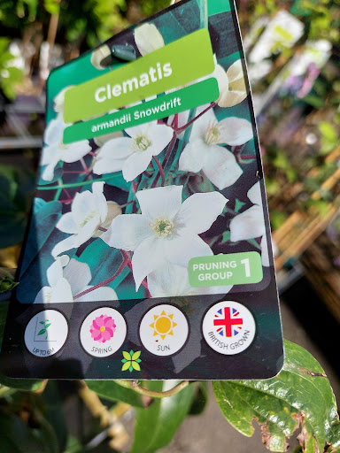 Carmarthen Garden Centre - Thumbnail