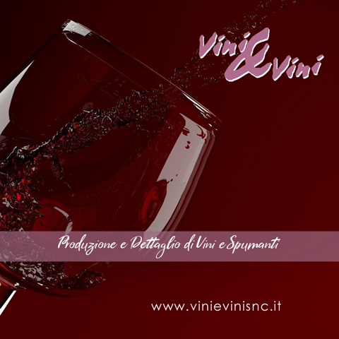 Vini & Vini s.a.s. Logo