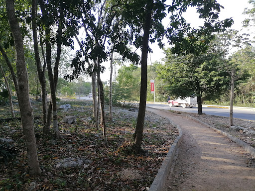 kusamil Park - Thumbnail
