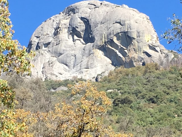 Sequoia National Park