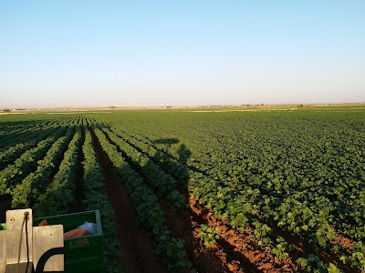 Sıralı Bayraklı Tepe Mahallesi