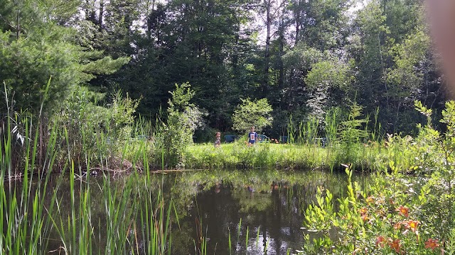 Vignoble Val Caudalies