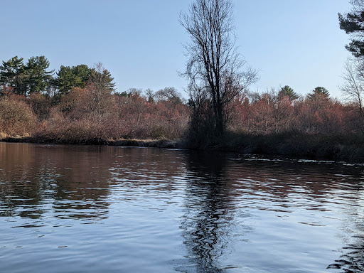Whitcomb Woods