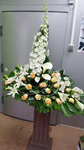 Servicios Funerarios Ecofune Gallery - Spain