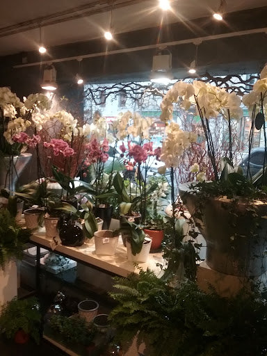De Fleurs et d'Eau - Thumbnail