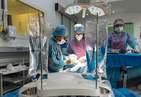 Degorce Thierry à Tours