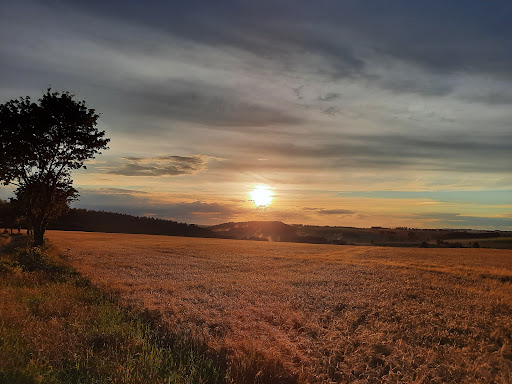 Gahlenz - Thumbnail