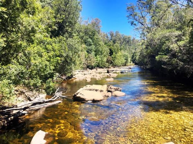 Parc national des Franklin-Gordon Wild Rivers