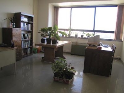 university