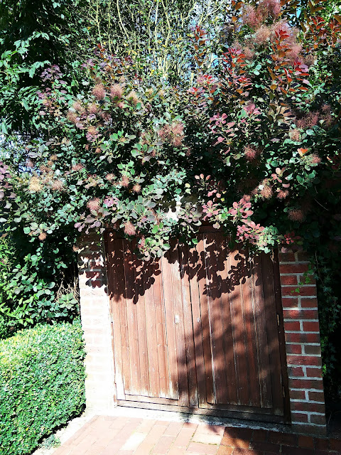 photo-3