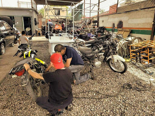 Servi Socios - Visual