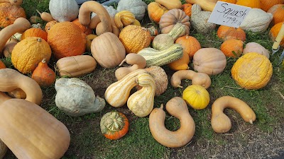 Photos of Hidden Valley Fruit Farm
