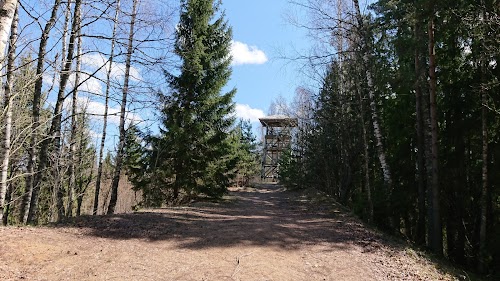 RMK Paukjärve telkimisala