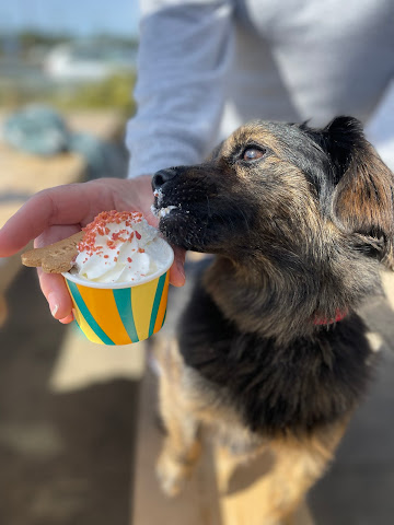 Beach Rock Bistro by null