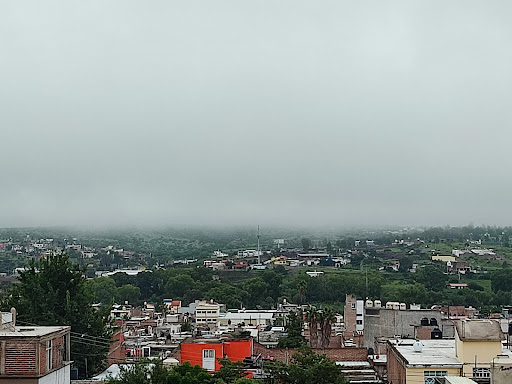 Hotel Jocelyn - Visual