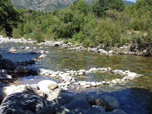 Photo n°61 de Camping E Canicce à Moltifao (Agence de location immobilière)