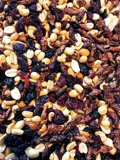 Mole Y Chocolate Rosita