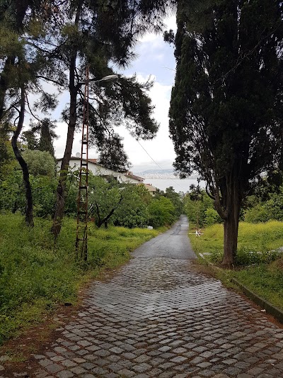 Photos of İsa Rum Manastırı