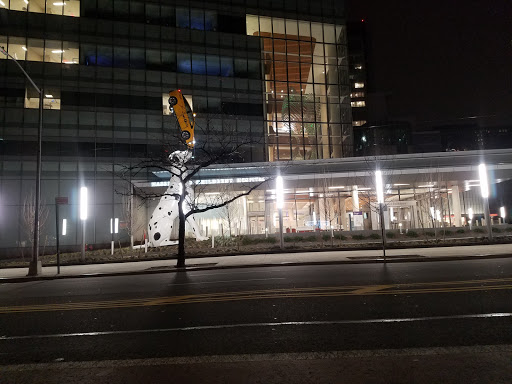 Hassenfeld Children’s Hospital at NYU Langone - Thumbnail