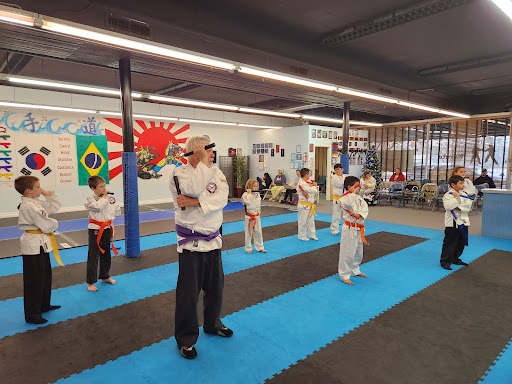 Midnight Blue Martial Arts Academy Logo