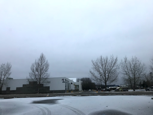 Dynamic Petro Canada - Visual
