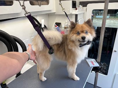 Anderson Mobile Grooming