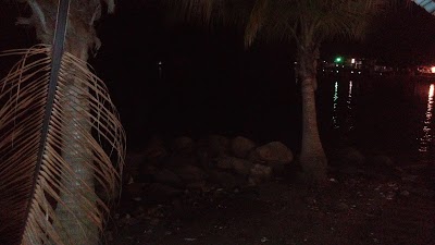 Photos of Flamingo's