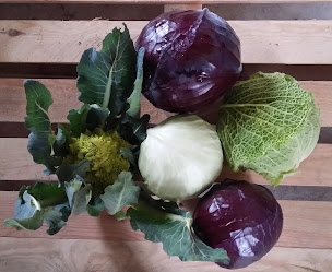 Photo n°11 de EARL LAFONT à Bayet (Transformation des fruits et légumes)