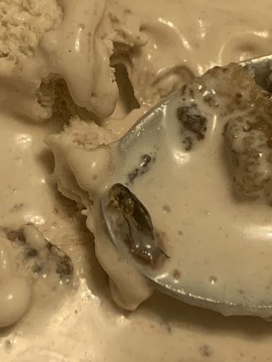 Evies Indulgence - Visual
