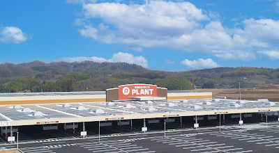 PLANT 木津川店