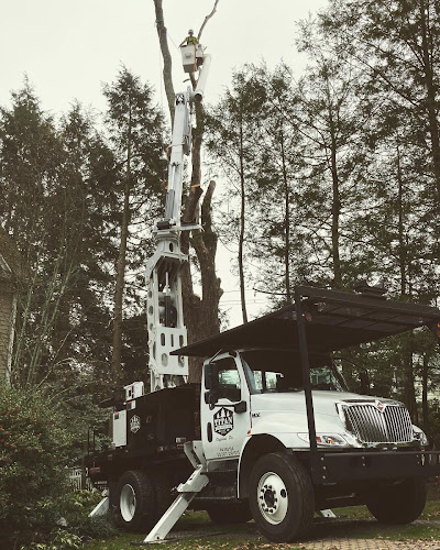 Titan Tree Service