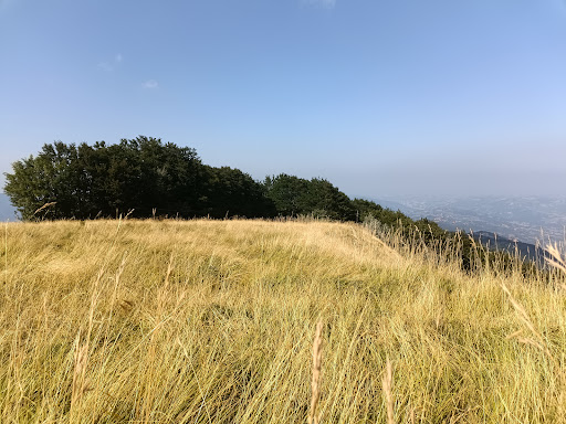 Monte Caio - Visual