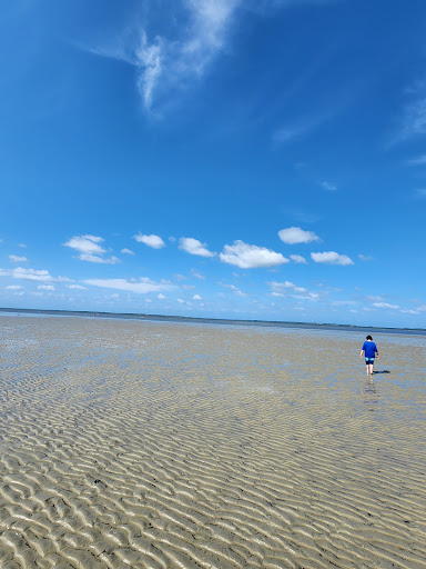 Fish Haul Beach - Thumbnail