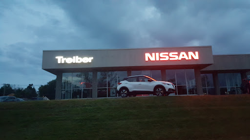 Treiber Nissan - Thumbnail