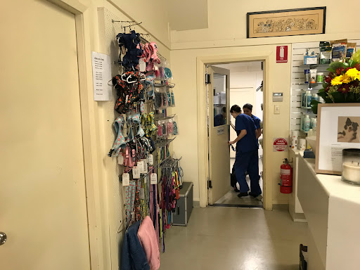 Collaroy Veterinary Hospital - Thumbnail