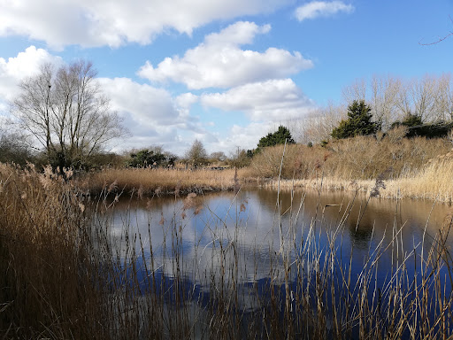 Great Fen - Visual