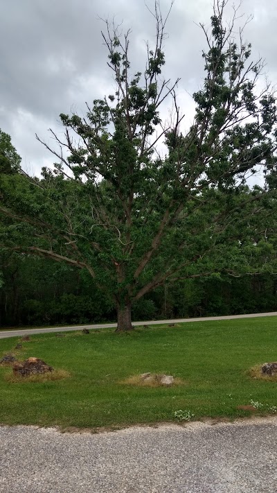 Isaac Creek Campground