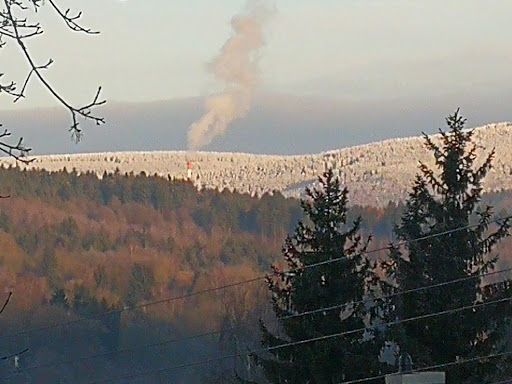 Grünspecht - Visual