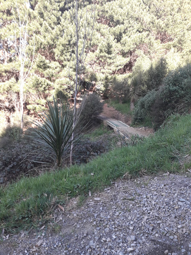 Rangituhi Colonial Knob Parkland - Thumbnail