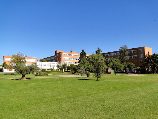 Colegio Santa María Marianistas - Thumbnail