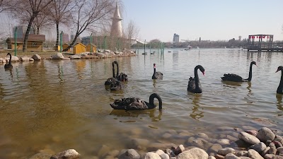 park