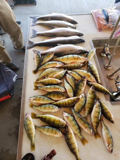 Elevation Angling - Visual
