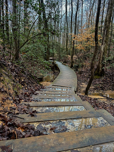 Nalley Brown Nature Park - Thumbnail