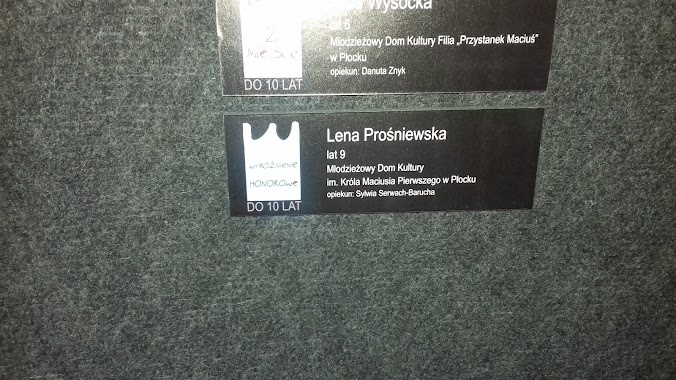 Płocka Galeria Sztuki, Author: Lena Prośniewska