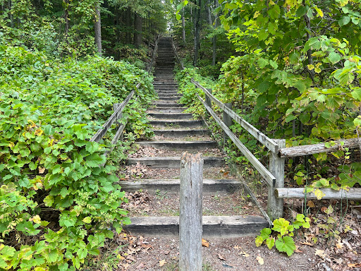 Black Lake State Forest Campground - Thumbnail