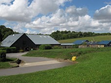 Endell Equine Hospital salisbury