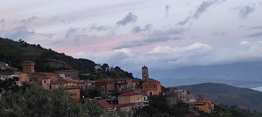 Pollica